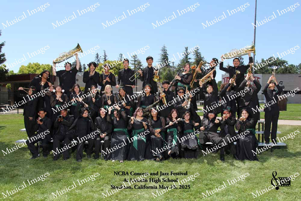 Musical Images